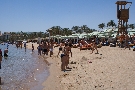 Egypt - Sharm El Sheikh - Ghazala Gardens ****+