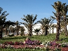 Tunisko - Djerba - RIU Palm Azur ****