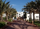 Tunisko - Djerba - RIU Palm Azur ****