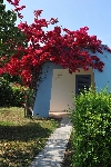 Gr�cko - Pelopon�z - Kalogria Greek Village ***+