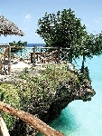 Tanz�nia  - Zanzibar - Severn� pobre�ie - Baobab ****
