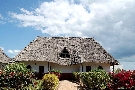 Tanz�nia  - Zanzibar - Severn� pobre�ie - Baobab ****