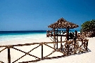 Tanz�nia  - Zanzibar - Severn� pobre�ie - Baobab ****