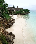 Tanz�nia  - Zanzibar - Severn� pobre�ie - Baobab ****