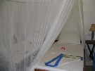 Tanz�nia  - Zanzibar - Severn� pobre�ie - Baobab ****