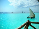 Tanz�nia  - Zanzibar - Severn� pobre�ie - Baobab ****