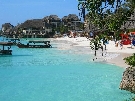 Tanz�nia  - Zanzibar - Severn� pobre�ie - Baobab ****