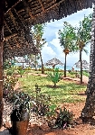 Tanz�nia  - Zanzibar - V�chodn� pobre�ie - Bravo Club Kiwenga****