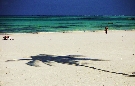 Tanz�nia  - Zanzibar - V�chodn� pobre�ie - Kiwengwa Beach Resort ****