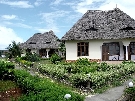Tanz�nia  - Zanzibar - Severn� pobre�ie - My Blue ****