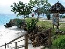 Tanz�nia  - Zanzibar - Severn� pobre�ie - My Blue ****