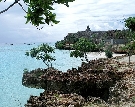 Tanz�nia  - Zanzibar - Severn� pobre�ie - My Blue ****