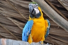 Venezuela - pozn�vac� z�jazd - Venezuela - zabudnut� svet
