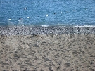 Turecko - Belek - Tureck� riviera - Siam Elegance *****