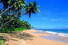 Sri Lanka - pozn�vac� z�jazd - Zelen� perla indick�ho oce�nu