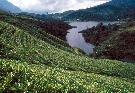 Sri Lanka - pozn�vac� z�jazd - Kr�lovsk� cesta