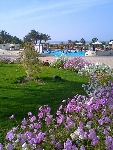 Egypt - Hurghada-Makadi Bay - Rotana Coral Beach ****