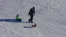 Taliansko - Tonale - Ponte di Legno - Tonale - Hotel Gardenia ***