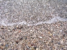 Gr�cko - Rodos - Mitsis Rhodos Maris & SPA ****+