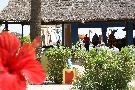 Tunisko - Hammamet - Caribbean World Hammamet Beach ***+
