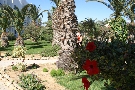 Tunisko - Monastir - Eden Club ***