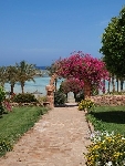 Egypt - Marsa Alam - Club Calimera Habiba Beach *****