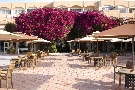 Tunisko - Hammamet - Caribbean World Venus Beach ****