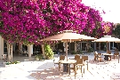 Tunisko - Hammamet - Caribbean World Venus Beach ****