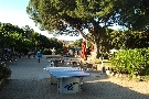Franczko  Korzika Hotel Club Marina Viva ****