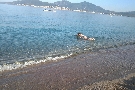 Franc�zko - Korzika - Hotel Club Marina Viva ****