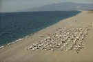 Taliansko - Kal�bria - Aquis Garden Resort ****