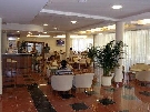 Chorv�tsko - Dalm�cia - Dubrovn�k - Hotel Ivka***