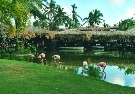 Dominik�nska r. - Punta Cana - Natura Park Beach Eco Resort & Spa ****