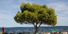 Taliansko - ostrov Sard�nia - Marina Seada ****