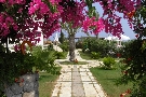 Cyprus  Famagusta - Severn Cyprus Crystal Rocks 3*