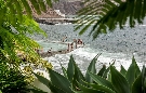panielsko  Kanrske ostrovy - Tenerife Oceano Hotel Health SPA Tenerife ****